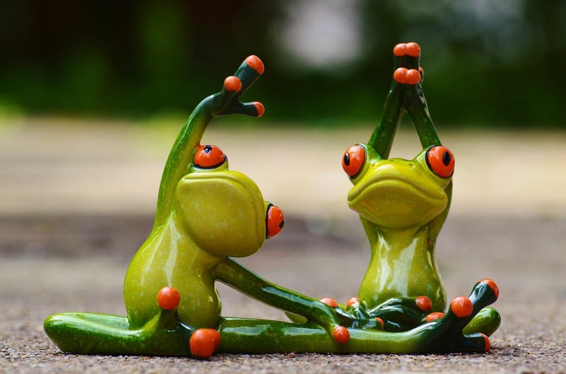 Proprioceptive Neuromuscular Facilitation (PNF)